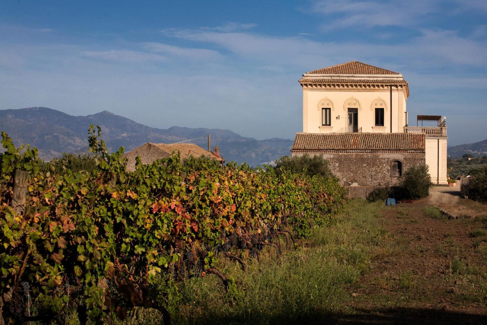 Feudo Vagliasindi -Wine Experience- ξενώνας Randazzo Εξωτερικό φωτογραφία