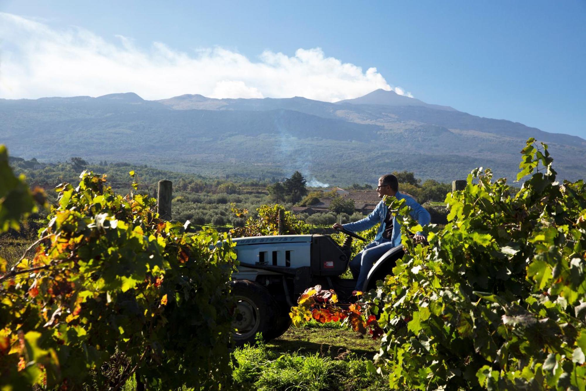 Feudo Vagliasindi -Wine Experience- ξενώνας Randazzo Εξωτερικό φωτογραφία