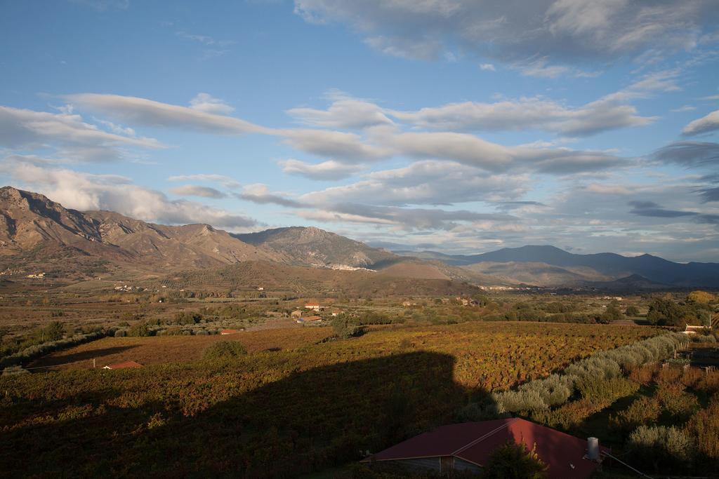 Feudo Vagliasindi -Wine Experience- ξενώνας Randazzo Εξωτερικό φωτογραφία