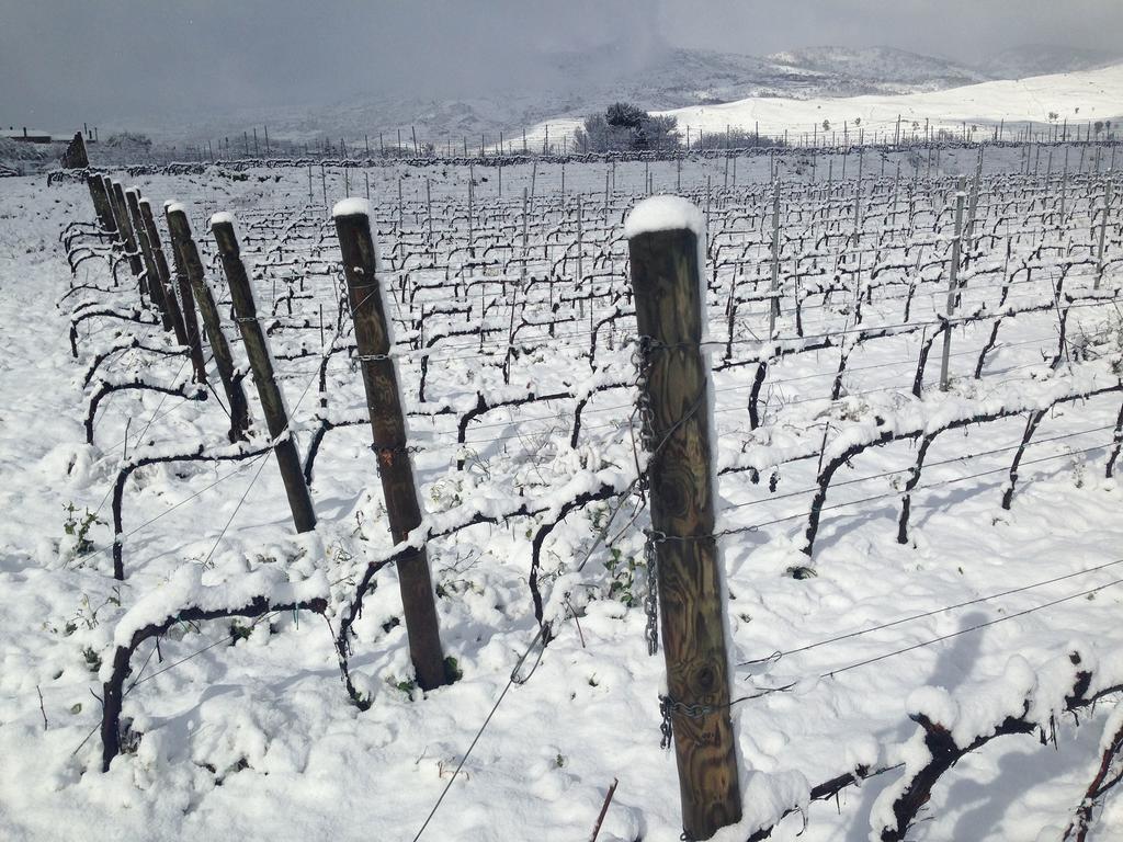 Feudo Vagliasindi -Wine Experience- ξενώνας Randazzo Εξωτερικό φωτογραφία