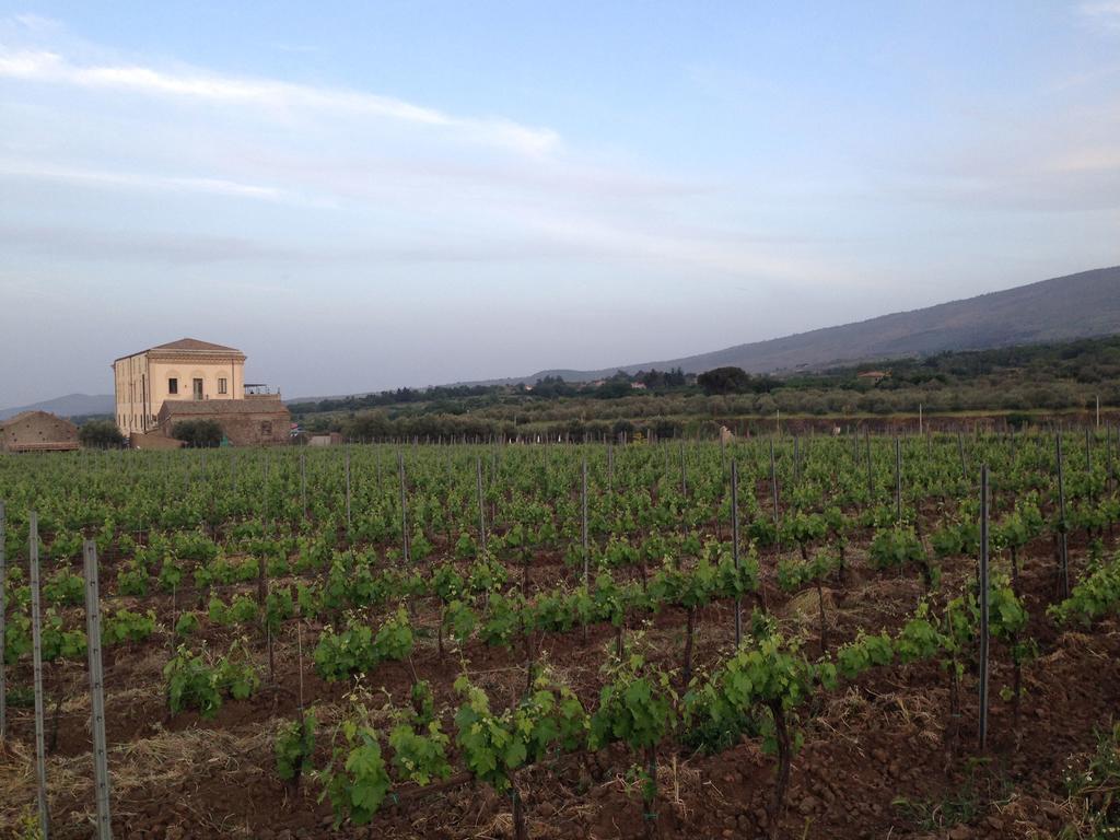 Feudo Vagliasindi -Wine Experience- ξενώνας Randazzo Εξωτερικό φωτογραφία